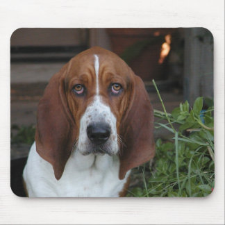 Mooie Basset Hound-Muismat Muismat