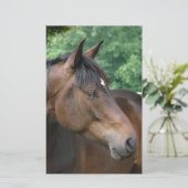 Mooie Bay Horse Briefpapier (Staand voorkant)