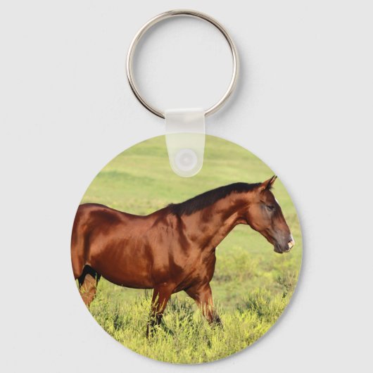 Mooie Bay Horse Sleutelhanger (Voorkant)
