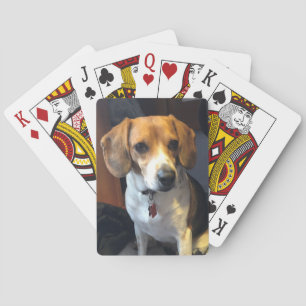 Mooie Beagle Speelkaarten