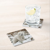 Mooie Beer Cub Vierkante Kartonnen Onderzetter (Insitu)