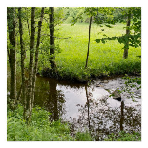Mooie Belgische bos en rivier, reizen Perfect Poster