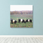Mooie Belted Galloway kudde in de Herfst Canvas Afdruk (Insitu (Houten vloer))