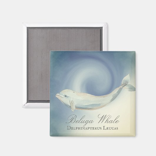 Mooie Beluga-walvis, Delphinapterus Leucas Magneet (Voorkant / Achterkant)