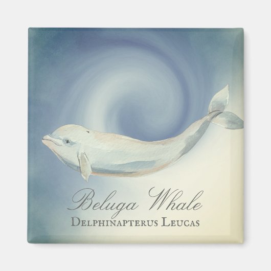 Mooie Beluga-walvis, Delphinapterus Leucas Magneet (Voorkant)