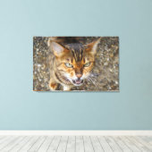 Mooie bengaals kat canvas afdruk (Insitu (Houten vloer))