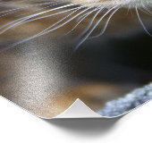 Mooie bengaals kat foto afdruk (Hoek)