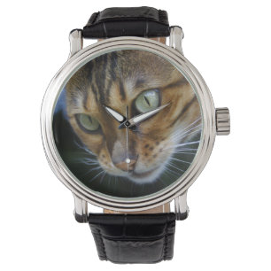 Mooie bengaals kat horloge