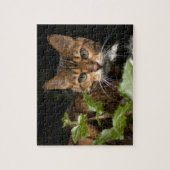 Mooie bengaals kat legpuzzel (Verticaal)