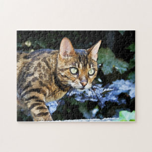 Mooie bengaals kat legpuzzel