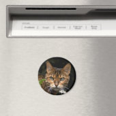 Mooie bengaals kat magneet (Insitu (Vaatwasser))