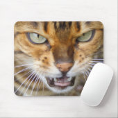 Mooie bengaals kat muismat (Met muis)