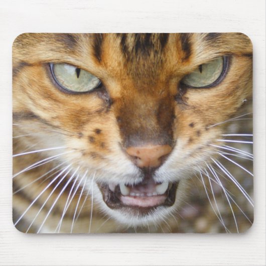 Mooie bengaals kat muismat (Voorkant)