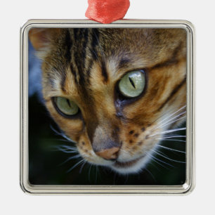 Mooie Bengaalse kat Metalen Ornament