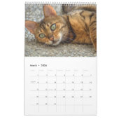 Mooie Bengaalse katten 2025 Kalender (Mar 2026)