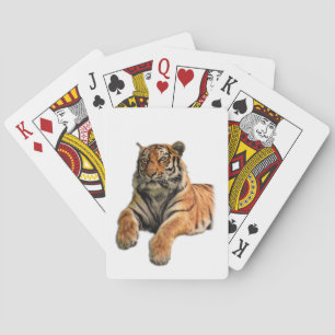 Mooie Bengal Tiger Face & Paws-foto Pokerkaarten