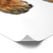 Mooie Bengal Tiger Face & Paws-foto Poster (Hoek)