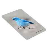 Mooie bergvogel magneet (Rechterzijde)