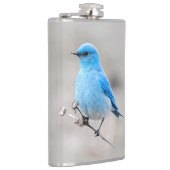 Mooie bergvogel op de Tansy Heupfles (Rechts)