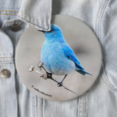 Mooie bergvogel ronde button 6,0 cm (In situ)