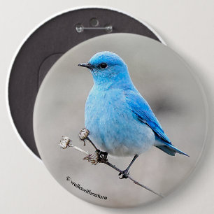 Mooie bergvogel ronde button 6,0 cm