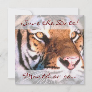 Mooie berichten van de tijger save the date