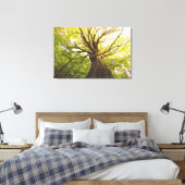 Mooie beukenboom canvas afdruk (Insitu (Slaapkamer))