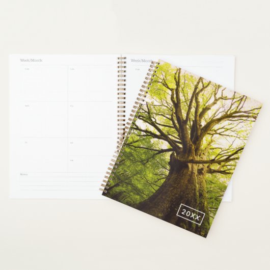 Mooie beukenboom planner (Display)