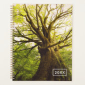 Mooie beukenboom planner (Voorkant)