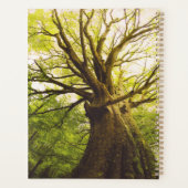 Mooie beukenboom planner (Achterkant)