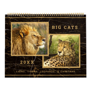 Mooie Big Cats-fotokalender Kalender