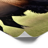 Mooie Bison Poster (Hoek)