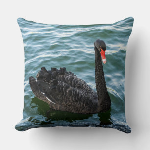 Mooie Black Swan Kussen