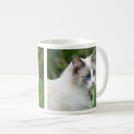 Mooie blauw-gele Ragdoll Kitten Koffiemok (Voorkant rechts)