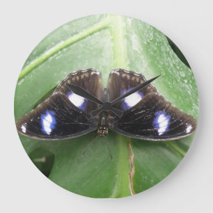 Mooie blauw gepotte vlinderwandklok grote klok