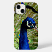 Mooie blauw groene pauw vogel  Case-Mate iPhone case (Achterkant)