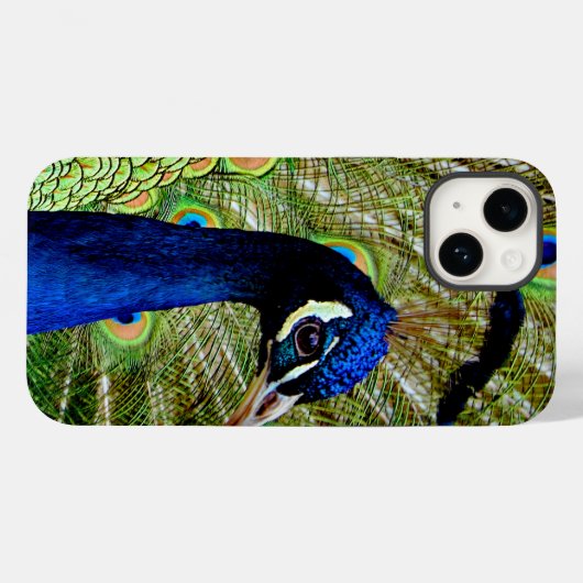 Mooie blauw groene pauw vogel  Case-Mate iPhone case (Achterkant (horizontaal))