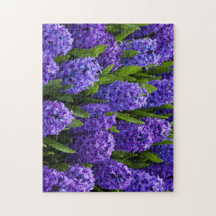 Mooie blauw/Paarse hyacinten Legpuzzel
