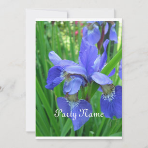 Mooie blauwe iris en groene bladeren kaart