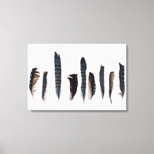 Mooie blauwe jay feathers canvas afdruk