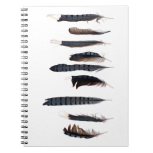 Mooie blauwe jay feathers notitieboek