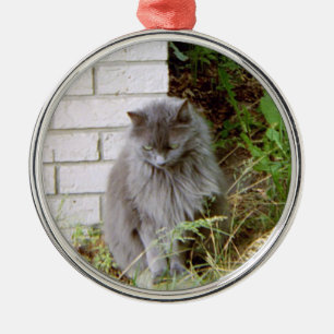 Mooie blauwe kat metalen ornament