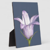 Mooie blauwe klokbloem fotoplaat (Zijkant)