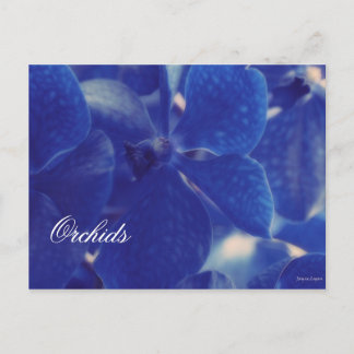 Mooie blauwe orchideeën, blanco Sjabloon Briefkaar Briefkaart