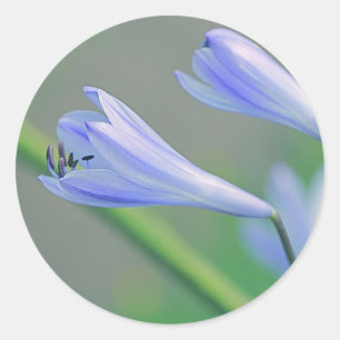 Mooie Blauwe Paarse Bloem Trouw Favor Sticker