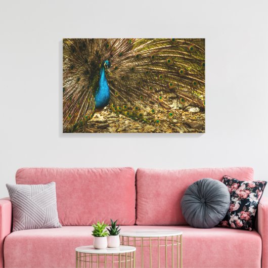 Mooie blauwe pacock met open staartopperen canvas afdruk (Insitu (Woonkamer))