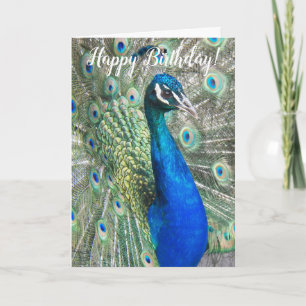 Mooie Blauwe Pauw Verjaardag Kaart