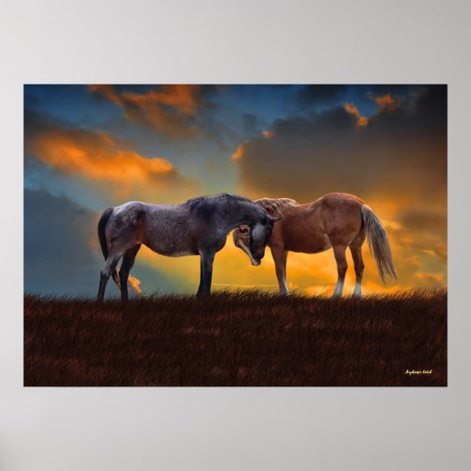 Mooie Blauwe Roan en Palomino-paarden Poster (Voorkant)