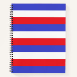 Mooie blauwe rode witte strepen notitieboek