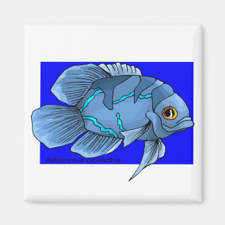 Mooie blauwe tropische Oscar vis Magneet
